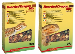 Lucky Reptile Bearded Dragon Mix Bearded Dragon Mix Juvenile 35g