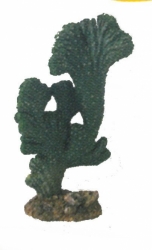 HOBBY Kaktus Victoria 2, 22 cm