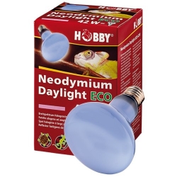 HOBBY Žárovka Neodymium Daylight Eco 42 W