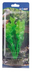 HOBBY Dekorace Echinodrus 20 cm