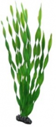 Rostlina Vallisneria 46cm