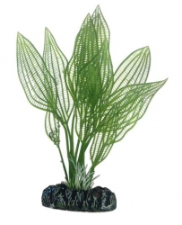 HOBBY Plastová rostlina Aponogeton, 16 cm