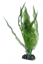 HOBBY Plastová rostlina Aponogeton, 25 cm