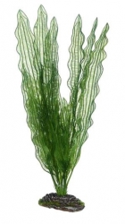 HOBBY Plastová rostlina Aponogeton, 39 cm