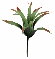 Lucky Reptile rostliny s drátem Tillandsia, cca 17 cm
