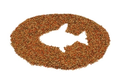 Dárek - Kvalitní krmivo pro akvarijní ryby 200 ml 