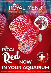 Royal Menu DS RED S 1000 ml