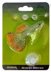 MACENAUER Dekorace Guppy Fish 9,7x14x2,5 cm