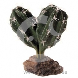 HOBBY Kaktus Sinai 13 cm 