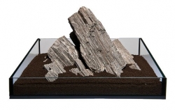 MACENAUER Glimmer Wood Rock (Zkamenělé dřevo) 1 kg