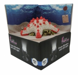 HYDOR H2shOw Ocean Wonders Hvězdice + bílé LED 12x12x4 cm