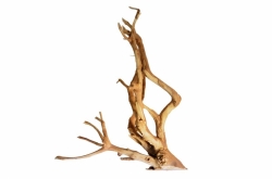 Kořen Talawa Wood XL, 80 - 100 cm, 1 ks