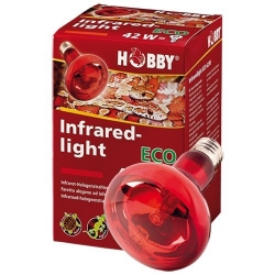 HOBBY Žárovka Infraredlight Eco 42 W