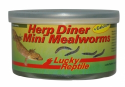 Lucky Reptile Herp Diner - mouční červi 35g Herp Diner - mouční červi mini
