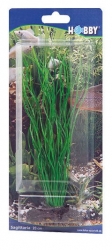 HOBBY Dekorace Sagittaria, 20 cm