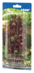 HOBBY Dekorace Rotala, 16 cm