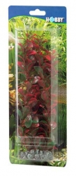 HOBBY Dekorace Ludwigia, 25 cm