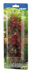 HOBBY Dekorace Ludwigia, 34 cm