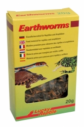 Lucky Reptile Earthworms Earthworms 10 g