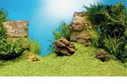 JUWEL Pozadí 1 S, Plant/Reef, 60x30 cm