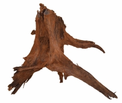 MACENAUER Kořen Amazonas Root XL 40-60 cm