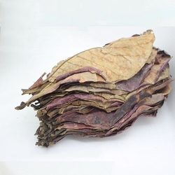 Listy mandlovníku mořského - Cattapa leaves 20 gramů