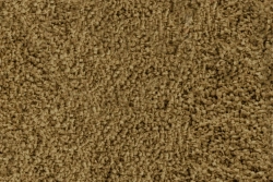Granule GIGA EXOTIC Discus Colour 
