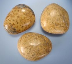 MACENAUER Golden fossil