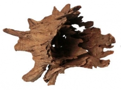 Kořen Jungle Root M, 30-40 cm