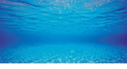 JUWEL Pozadí Poster 2 S, Blue/Water, 60x30 cm