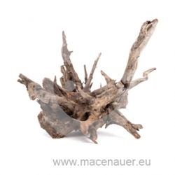 MACENAUER Corbo-Wurzel Medium, 30-40 cm