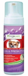 BOGAR bogacare CLEAN & FRESH FOAM, pes, 150 ml